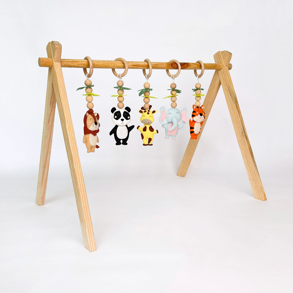 Animal Adventures Play Gym