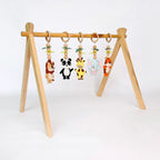 Animal Adventures Play Gym