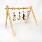 Woodland Adventures Play Gym