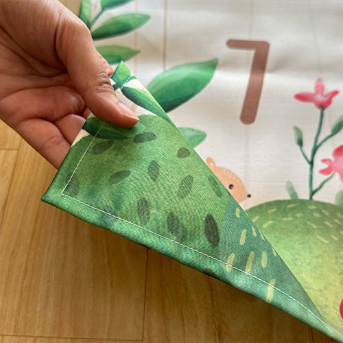 Woodland Animals Milestone Blanket