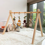 Woodland Adventures Play Gym